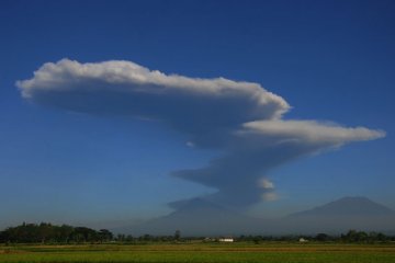 Letusan Gunung Merapi