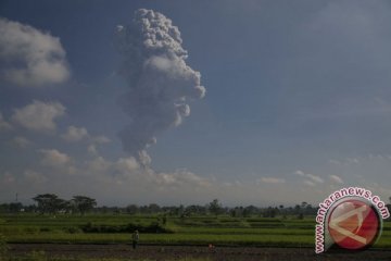 BPPTKG: proses magmatis diindikasikan pengaruhi letusan Merapi