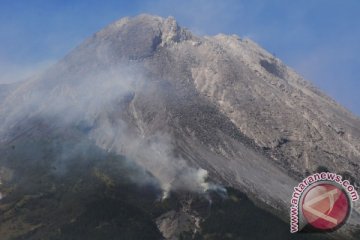 BPBD Sukabumi telusuri kebakaran Gunung Sunda