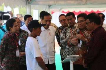 Digitalisasi pertanian di mata Menteri BUMN: demi petani sejahtera