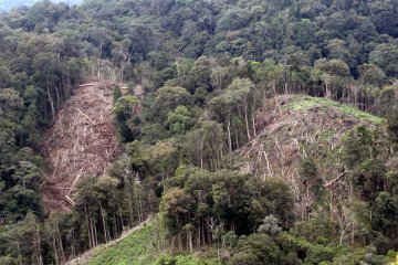 Kerusakan kawasan ekosistem leuser aceh