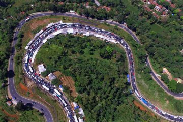 Arus balik jalur selatan