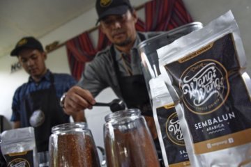Kopi Arabica Sembalun Sajang