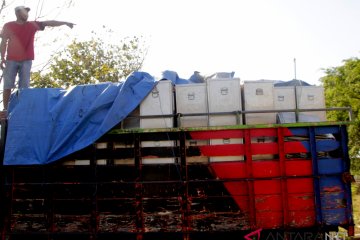 Persiapan Pendistribusian Logistik Pilkada