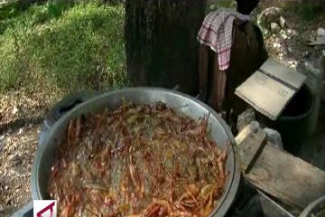 Belalang goreng dadakan, oleh-oleh pemudik dari Gunungkidul