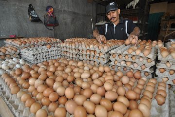 Harga telur ayam di Cianjur masih tinggi