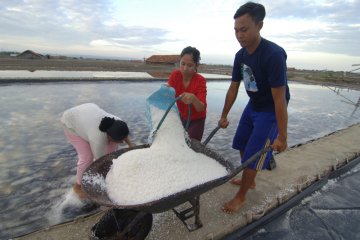 Stok garam di Pamekasan 771 ton