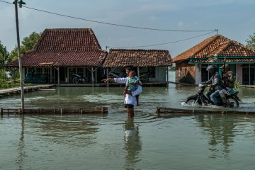 Waspada Banjir Rob Pantura Jateng
