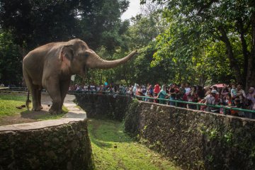 Wisatawan Padati Ragunan