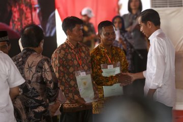 Presiden bagikan 6000 sertifikat tanah