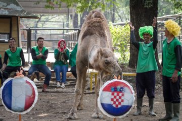 Unta TSTJ prediksi final piala dunia