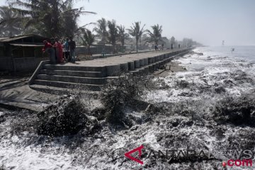 Gelombang tinggi perairan Cilacap