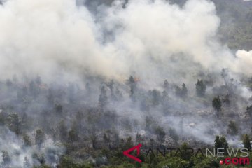 Puluhan hektare lahan sekitar tol Palindra terbakar