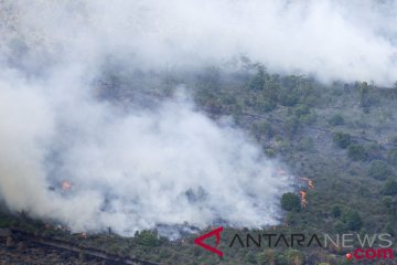 Hutan rakyat di perkampungan padat penduduk terbakar