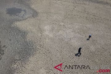 Lahan tambak mengering