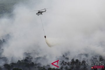 BNPB kerahkan 10 helikopter padamkan karhutla di Kalbar