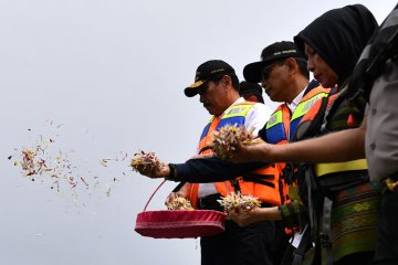 Tabur bunga tenggelamnya KM Sinar Bangun