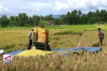 Tingkatkan produktifitas pangan cegah kemiskinan