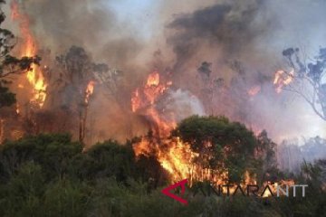 BMKG: Karhutla akibat pembukaan lahan pertanian