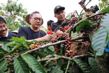 Zulkifli resmikan "Kampung Kopi Rigis Jaya" Lampung