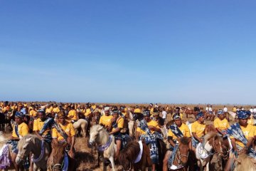 Parade 1001 Kuda Sandelwood di Sumba