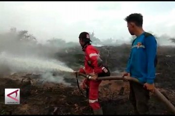 Tim Karhutla berusaha padamkan 200 Ha lahan di Kapuas