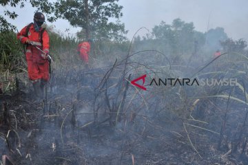 Upaya pemadaman kebakaran lahan