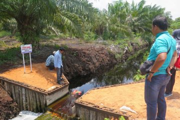 Kepala Staf Kepresidenan dorong agrowisata sekat kanal lahan gambut