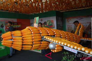 Gelar Promosi Agribisnis Soropadan