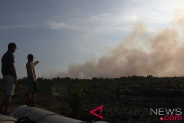 Risiko kebakaran hutan-lahan Riau turun bersama datangnya hujan