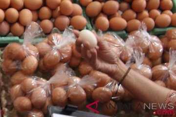 Telur ayam di Jaksel turun tipis jadi Rp26-28ribu