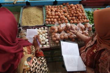 Sidak ketersediaan telur ayam