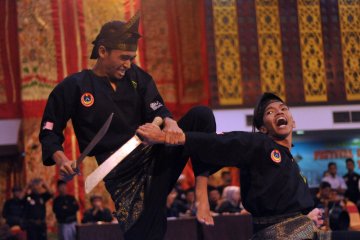 Festival Silat Internasional