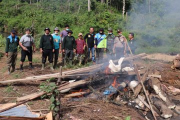 Bengkulu siapkan rencana aksi koridor gajah sumatera