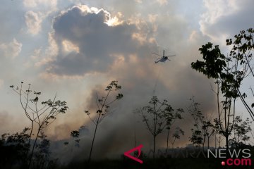 Kebakaran Lahan Di Pulau Semambu