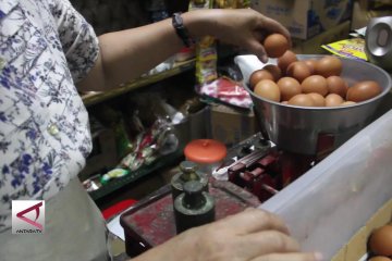 Ganjar minta TPID cari penyebab harga telur Meningkat