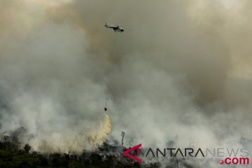 Pemadaman Kebakaran Lahan Muara Medak