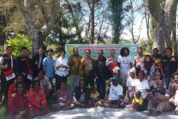 Kopi Arabika Wamena Papua kembali bangkit