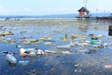 Sampah Danau Sentani