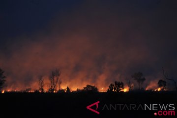 Kebakaran Lahan Di Ogan Ilir