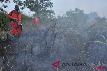 Lahan ilalang kering terbakar di Aceh Besar