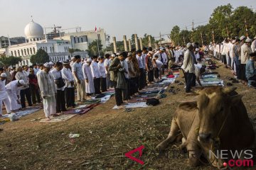 Salat Idul Adha Di Masjid Al-Azhar