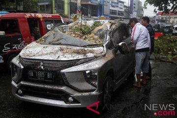 Pohon Timpa Mobil