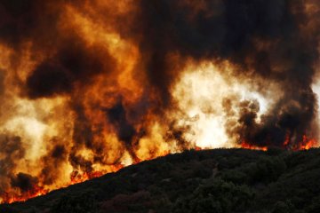 Sembilan tewas dalam kebakaran hutan di California, Malibu terancam