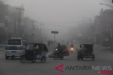 Ribuan warga Rokan Hilir terpapar asap kebakaran lahan