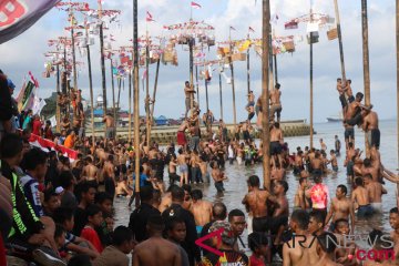 Panjat Pinang Di Teluk Ambon