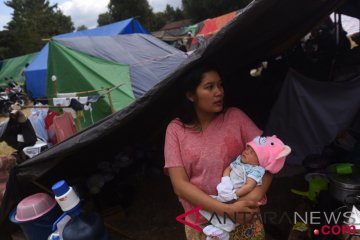 Bayi Pengungsi Gempa Bumi Lombok