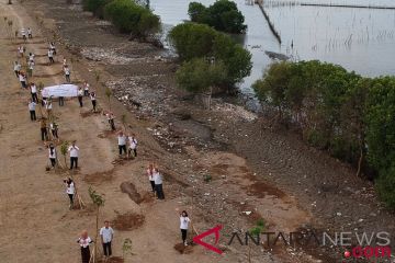 BUMN Hadir - Penghijauan Pesisir Oleh SMN