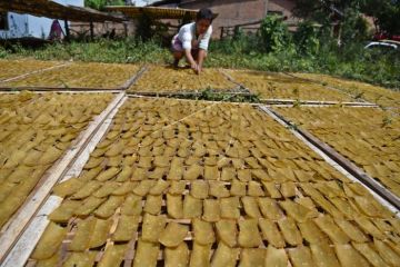 Produksi kerupuk kedelai