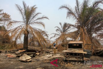 Karhutla Riau Hanguskan Rumah Warga